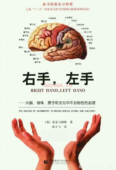 《右手，左手——大脑、身体、原子和文化中不对称性的起源》封面图片