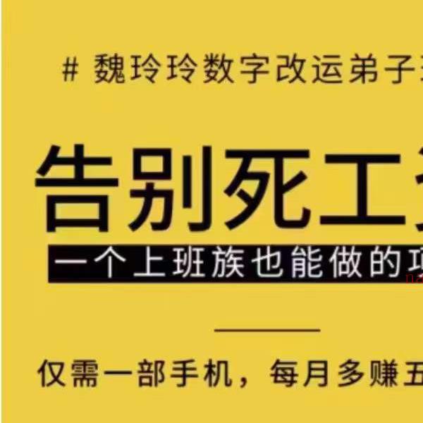 魏玲玲数字改运实战技能弟子班课程19集 数字改运，快速上手