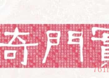 飞盘奇门训练营文字教材灵曦子插图