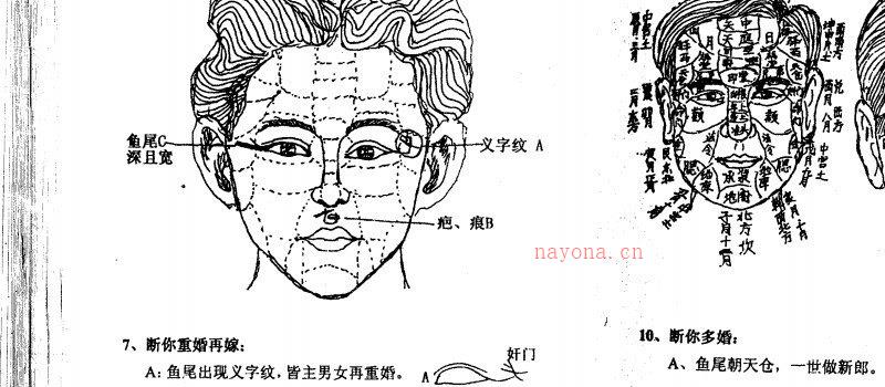 图片[7]_范柄檀着《面相过三关》PDF电子书（161页）_易经玄学资料网