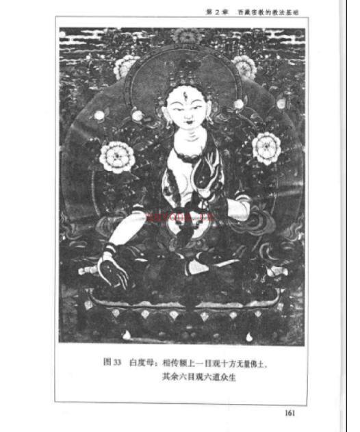 《印度-西藏的佛教密宗》