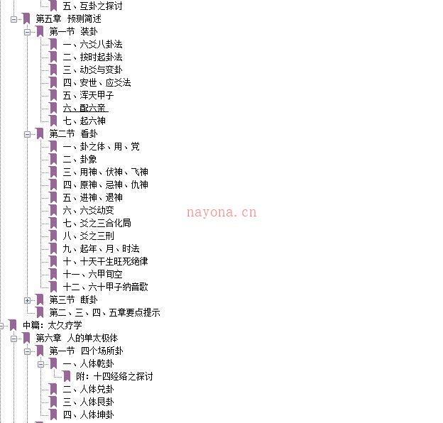 《太极九宫治疗学》