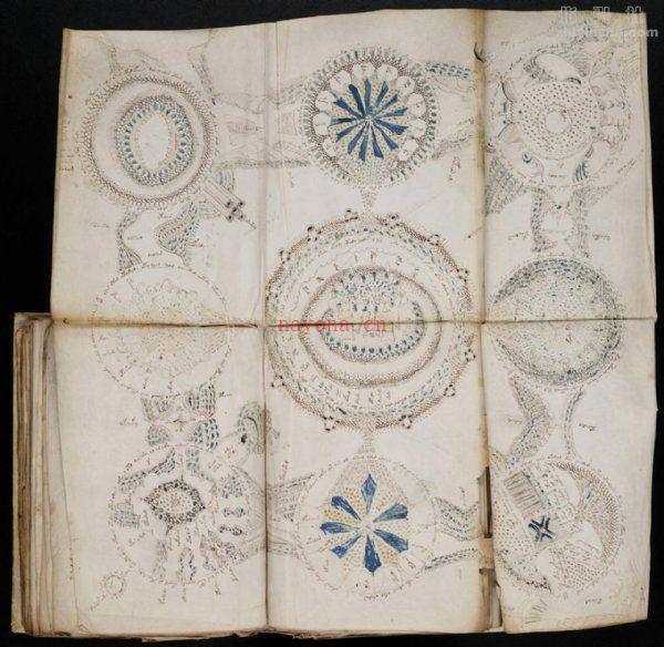 《伏尼契手稿》（Voynich manuscript）