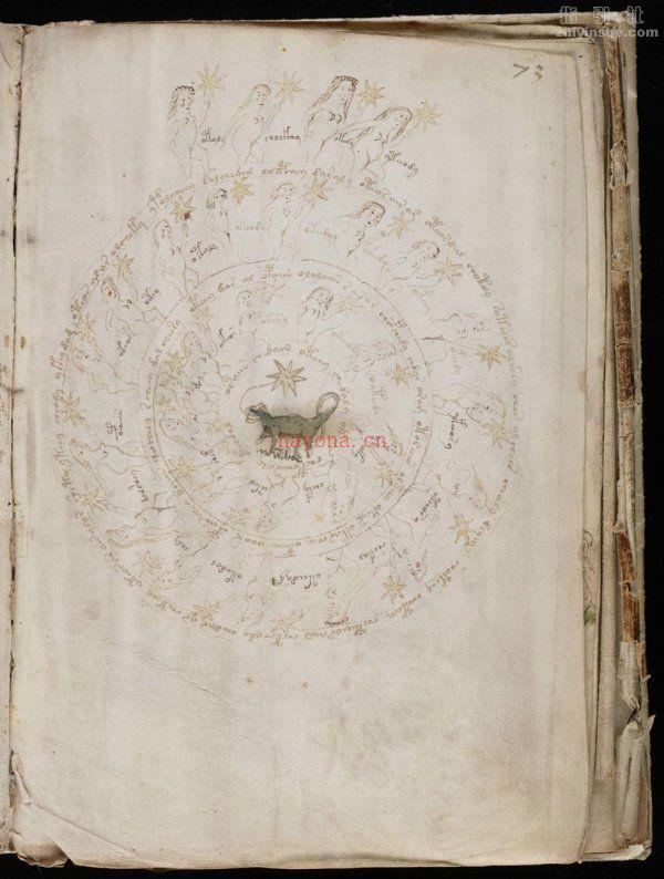 《伏尼契手稿》（Voynich manuscript）