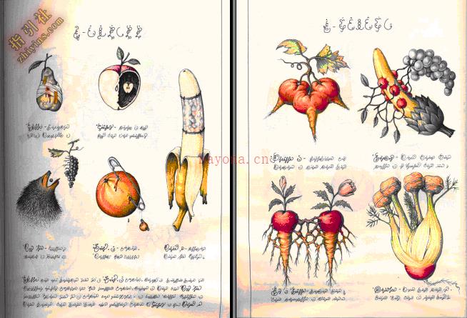 《塞拉菲尼抄本》（The Codex Seraphinianus）