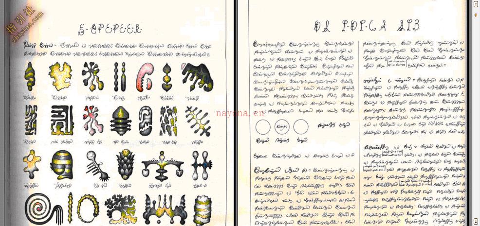 《塞拉菲尼抄本》（The Codex Seraphinianus）