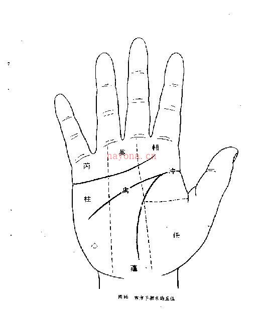 《中国秘传手相术》 (《中国秘传手相术》)