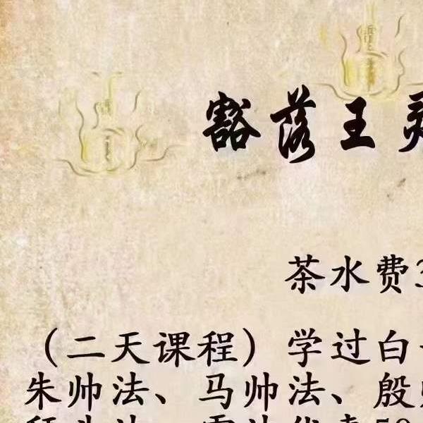 白云 豁落王灵官法 14集视频+文档