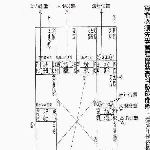 郑穆德 紫薇斗数 面相学 合集