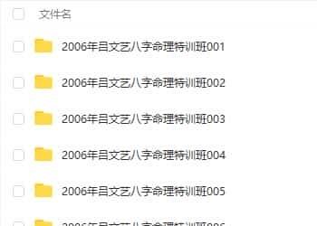 2006年 吕文艺 职业命理师弟子特训班全程讲课 30集视频插图