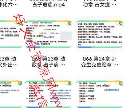 M151安易芳《增删卜易》视频115集