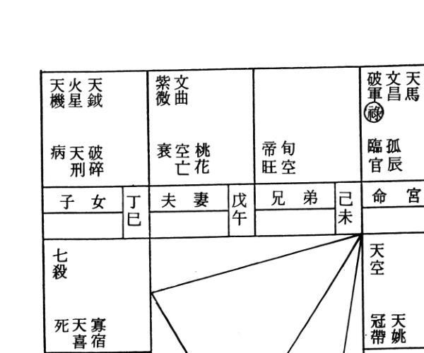 蔡上机《紫微斗数论命精蕴》