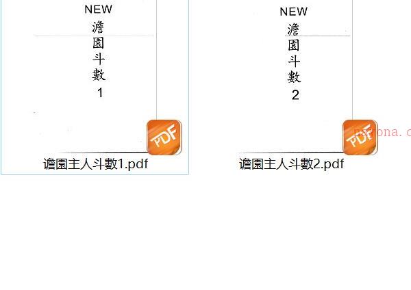 手抄本《谵园主斗数》4本