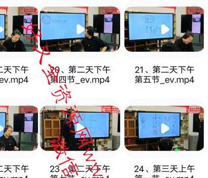 H379苗道长《阳盘奇门高阶课2023年10月第二期上下两部》