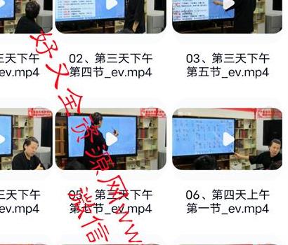 H379苗道长《阳盘奇门高阶课2023年10月第二期上下两部》