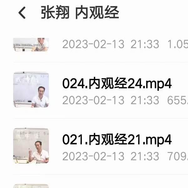 张翔讲解太上老君内观经29集视频+文档  带字幕