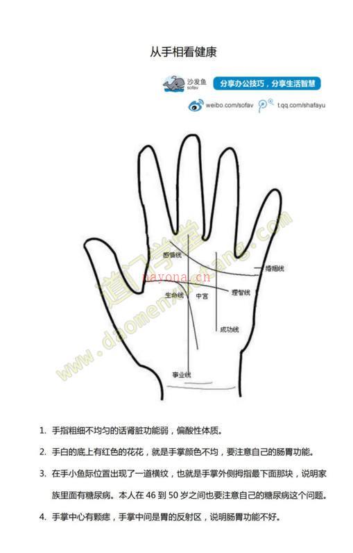 从手相看健康(www.daojiashuji.cn)