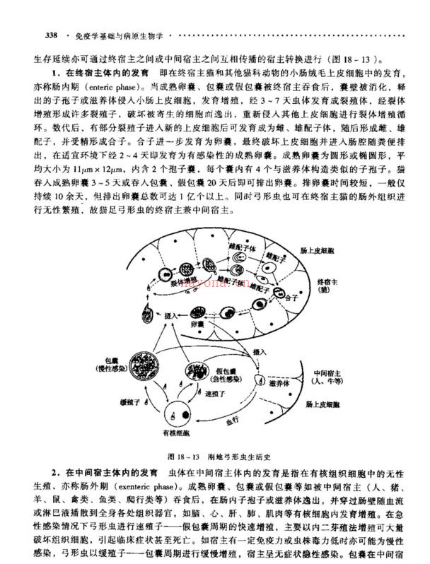 免疫学基础与病原生物学