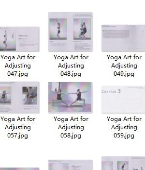 瑜伽 Yoga Art for Adjusting插图