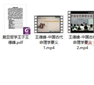命理学要义 王德峰-中国古代命理学要义 视频+文档插图