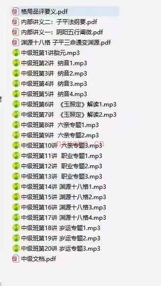 客舟堂子平命理初级录音文档+中级录音文档