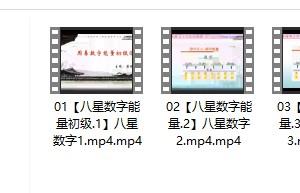 九岳山人精品课程【八星数字】能量学号码必学插图