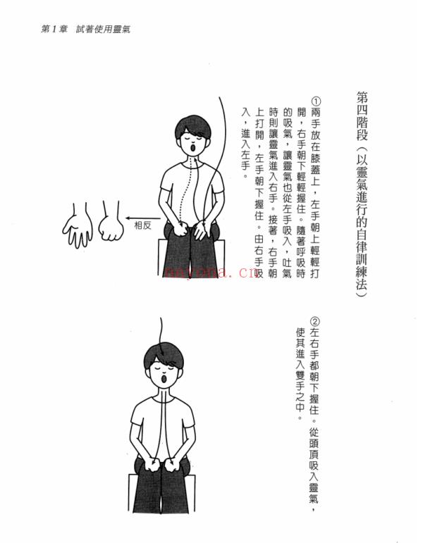 新版灵气疗法：疗愈的能量就在掌中PDF