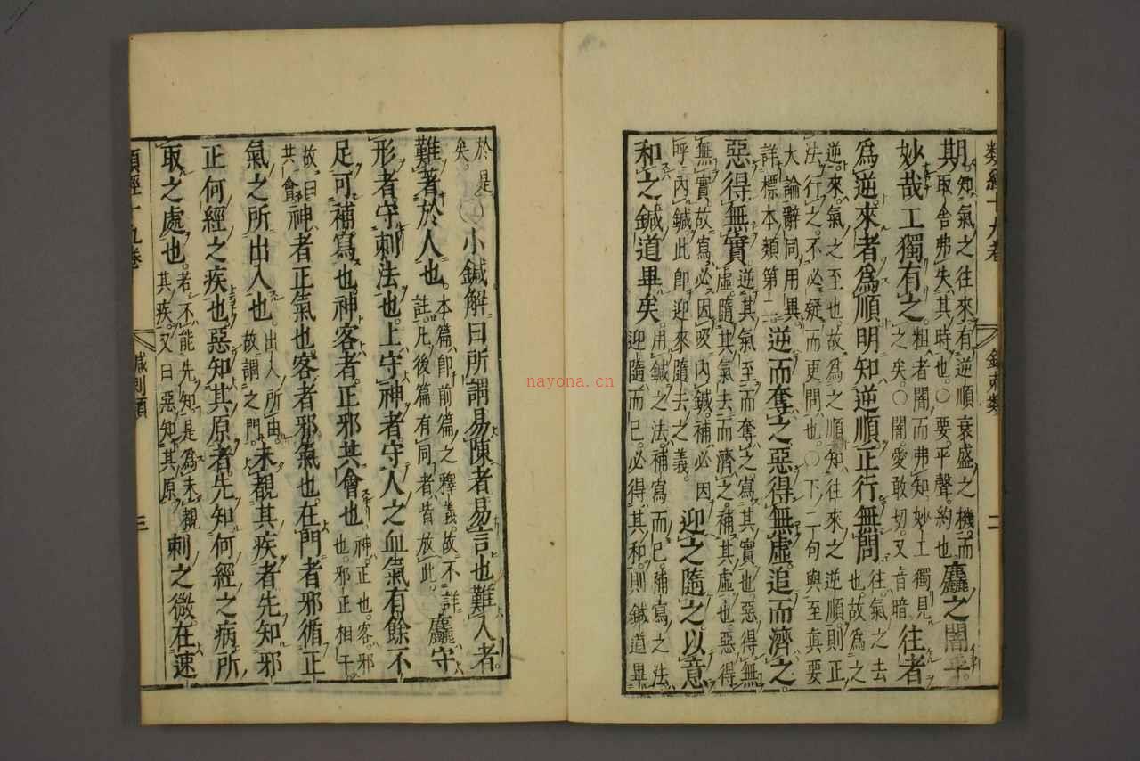 中医古籍-类经卷十九 PDF电子版下载
