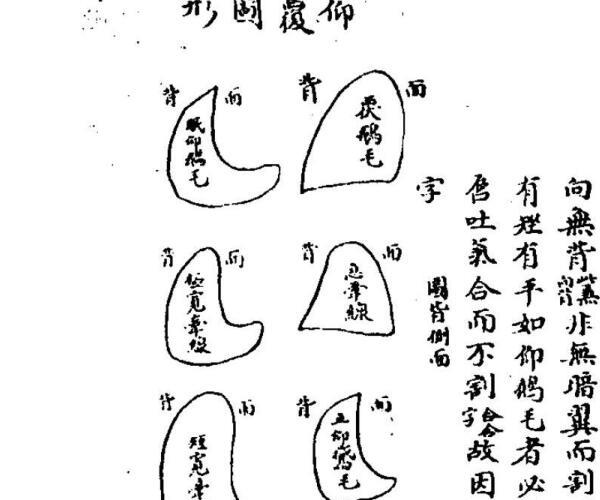 秘抄本地理 (地理秘珍)