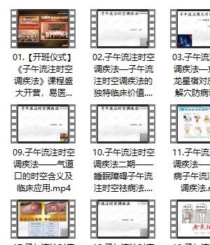 王哲-子午流注时空调疾术-23集理疗必学插图