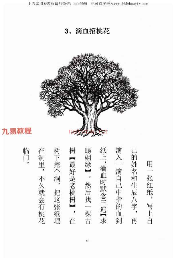 易学小乐 《阴阳风水秘术》法术化解pdf