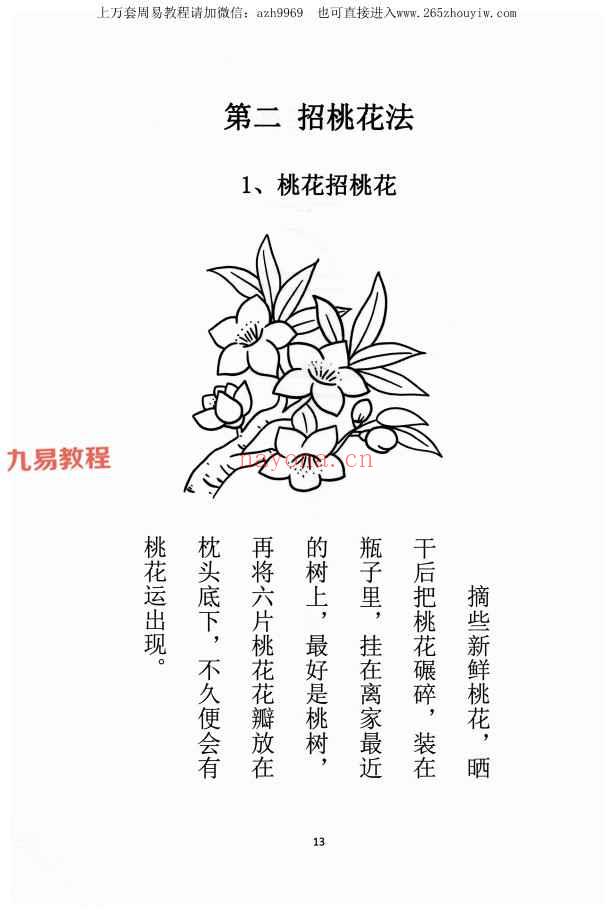 易学小乐 《阴阳风水秘术》法术化解pdf