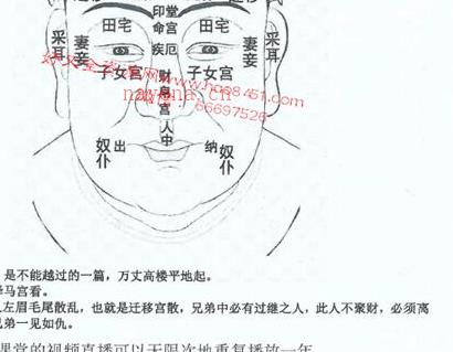 C178曹爱新民间相师看相绝技打字整理本（2000元)PDF电子书149页