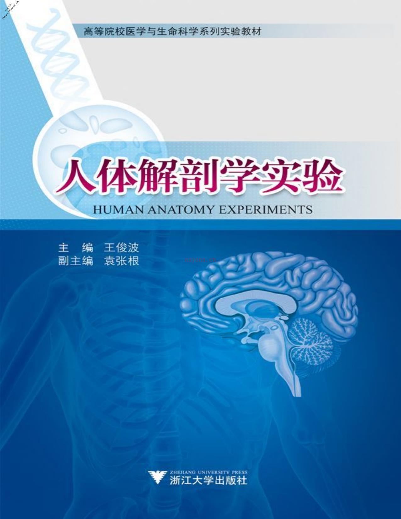 高等院校医学与生命科学系列实验教材_人体解剖学实验-王俊波 PDF电子版下载