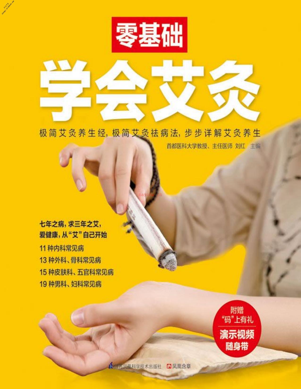 零基础学会艾灸(零基础系列)-刘红 PDF电子版下载