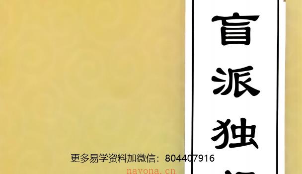 文曾盲派内部资料（可定制实体书） 网盘