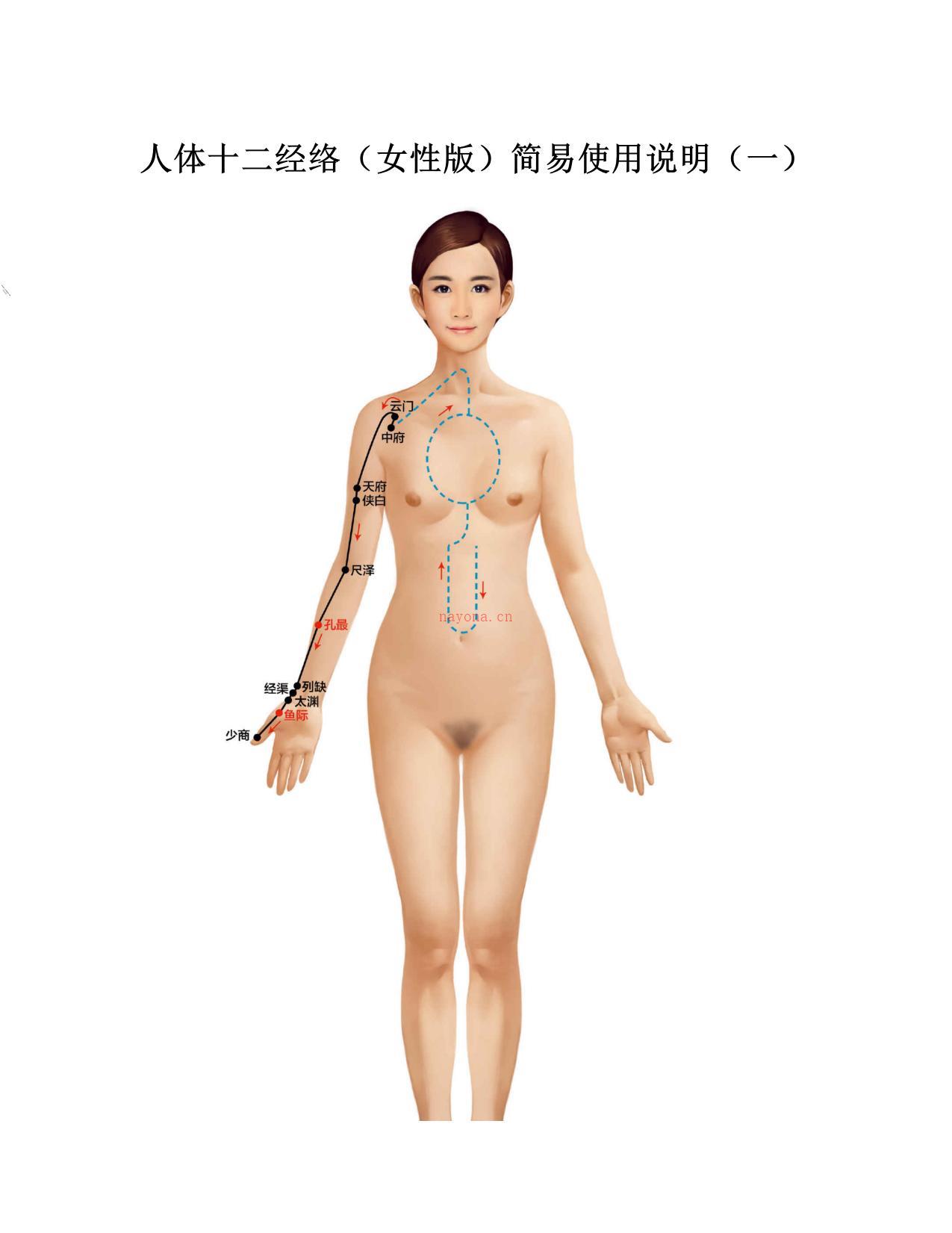 徒手祛百病•女性篇(经络通的女人老得慢)-路新宇 PDF电子版下载