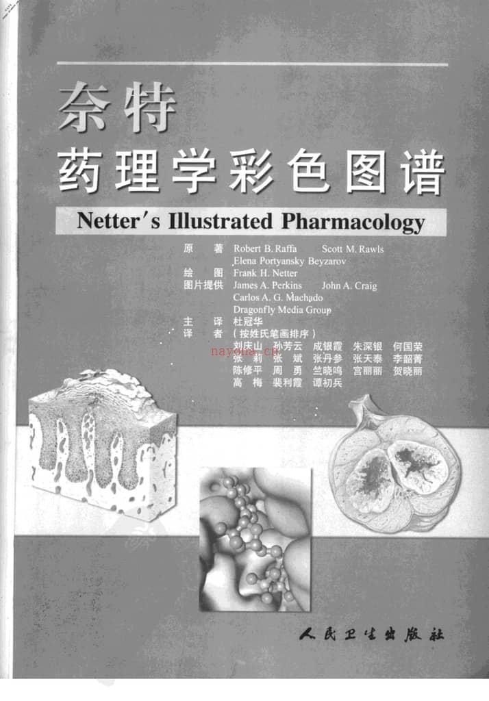 奈特药理学彩色图谱(高清中文版) PDF电子版下载