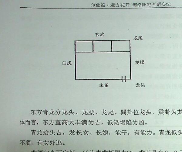 《河洛阳宅直断心法》张德志 (河洛阳宅一宅断)