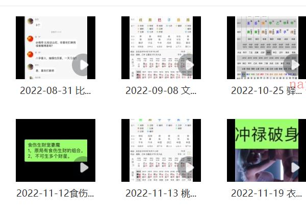 鹿早 盲派命理11集视频（绝密秘术，不可外传）