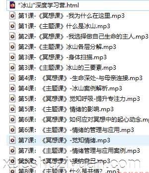 “冰山”深度学习营 冥想课40录音课程插图