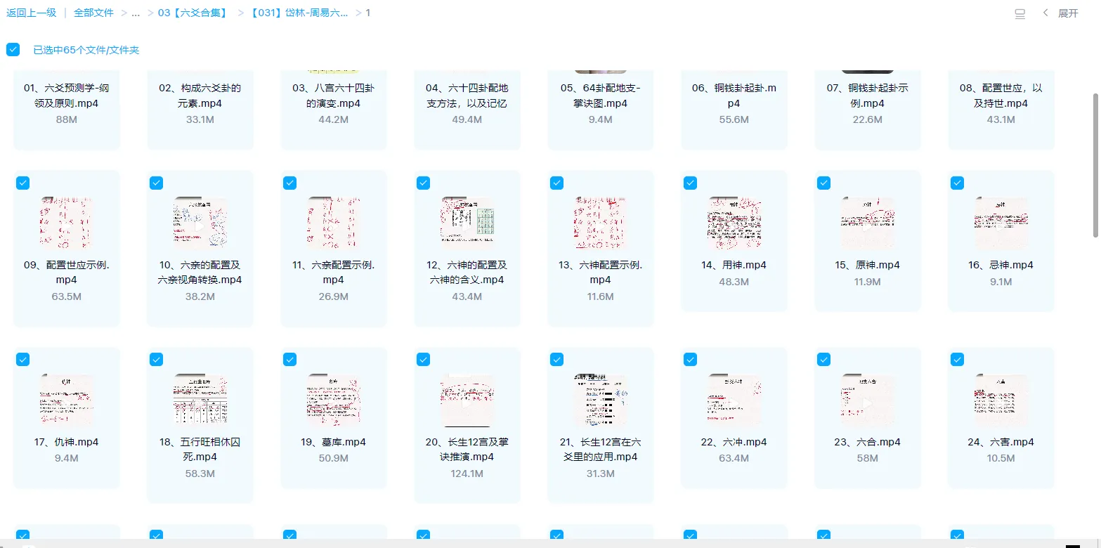 图片[1]_岱林-周易六爻预测学-从入门到精通课程（视频65集）_易经玄学资料网