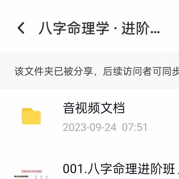 左林说易 李林 八字命理学 · 进阶班（中阶）30集