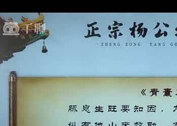 原价1900重阳老师《青囊奥语杨公堪舆文化2》视频课程19集插图