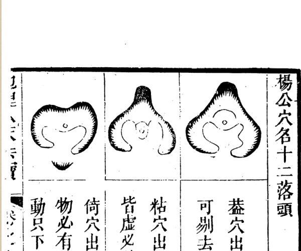 秘传堪舆类纂人天共宝《地理人天共宝》 (天地人地图)