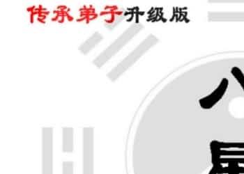 吴九龙八星奇门数字弟子密训资料升级版手机号码预测插图