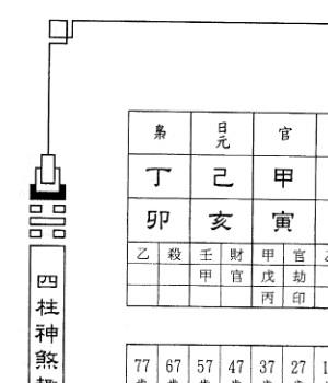 来旺四柱神煞趣事.pdf 292插图