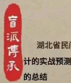 侯师傅讲命理第九期课程视频37集 正经盲人师傅讲命理插图1