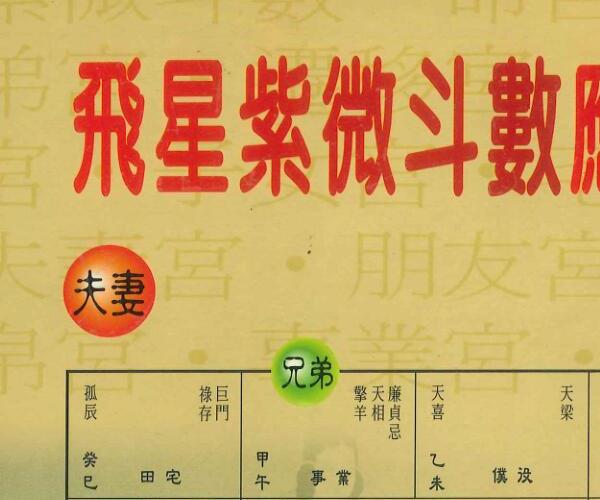 萧汝祥《飞星紫微斗数应用》484页