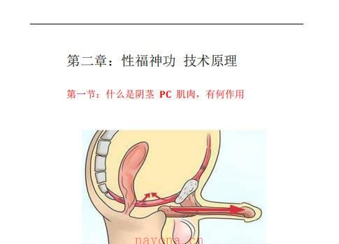 性福神功—道家高级房中养生术